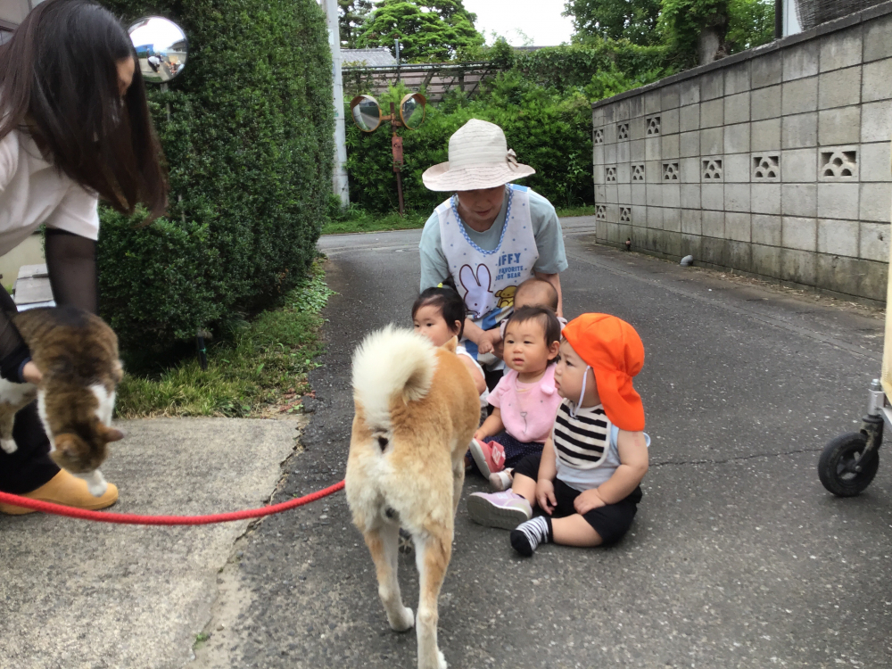 園庭遊び♪