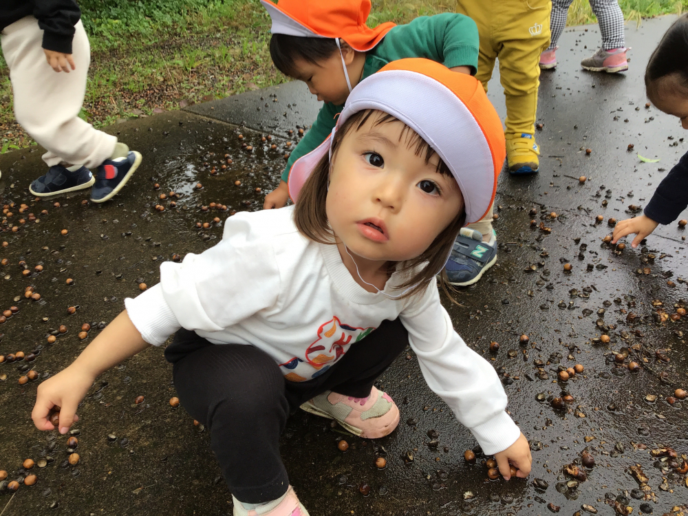 どんぐりみいつけた☆